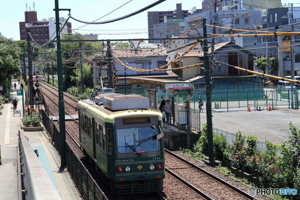 東京さくらトラム（都電荒川線）