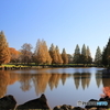 加須はなさき公園　その５
