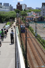 東京さくらトラム（都電荒川線）