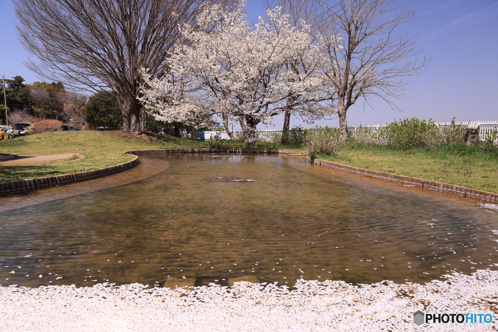 あけぼの山農業公園