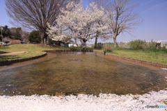 あけぼの山農業公園