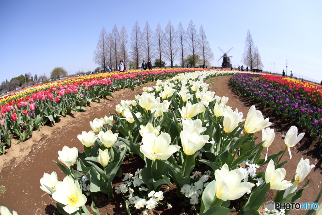 あけぼの山農業公園