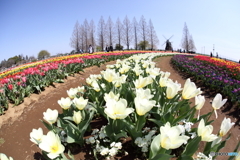 あけぼの山農業公園