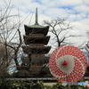 上野東照宮　冬牡丹