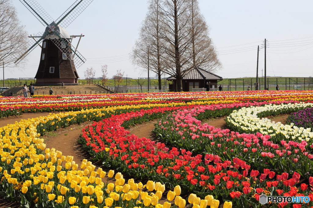 あけぼの山農業公園