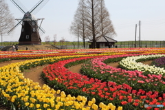 あけぼの山農業公園 あけぼの山農業公園