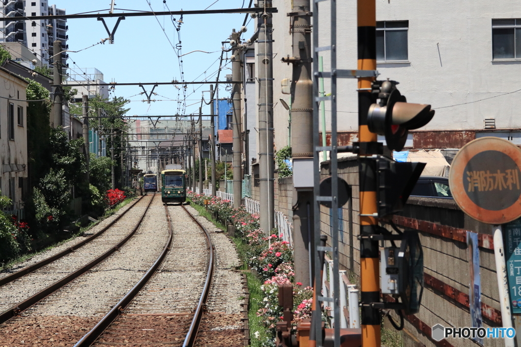 東京さくらトラム（都電荒川線）