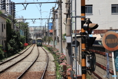 東京さくらトラム（都電荒川線）