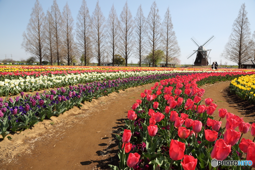 あけぼの山農業公園