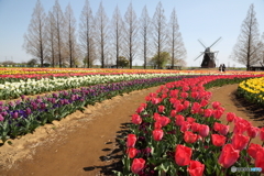 あけぼの山農業公園