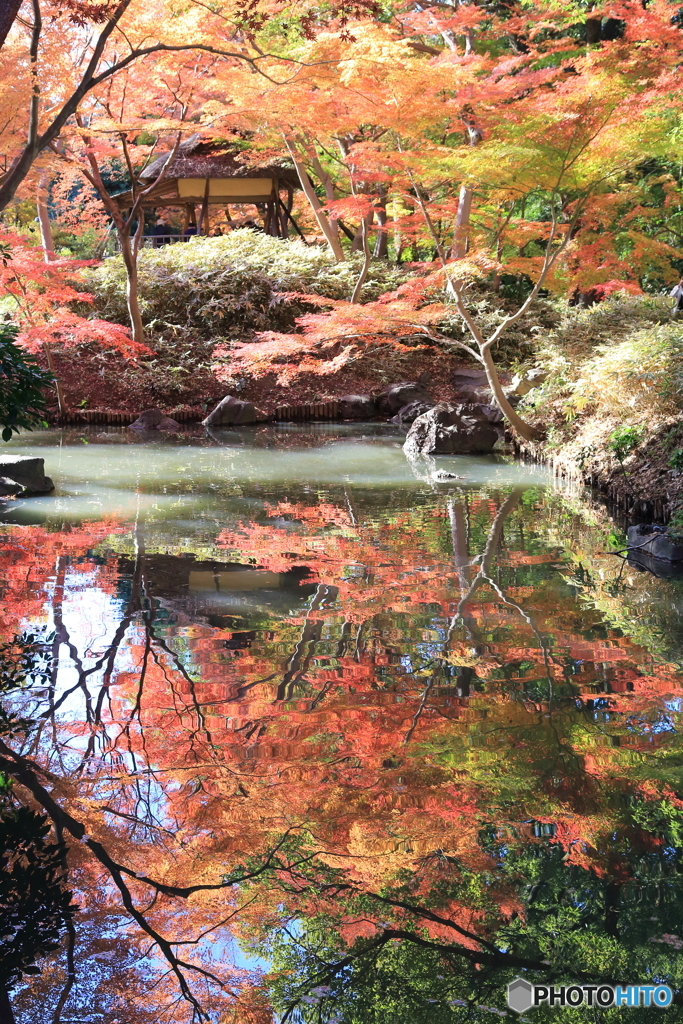 六義園その１