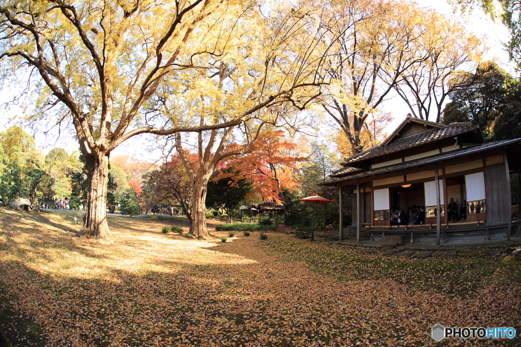 六義園