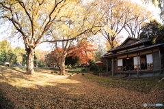 六義園