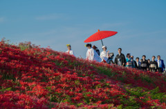 花嫁行列