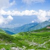 夏山