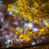 _IGP7234