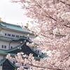 華の城