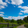 Japan Blue