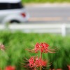 道端より