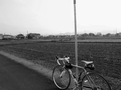 近所の田んぼ
