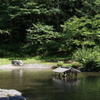味真野苑　池