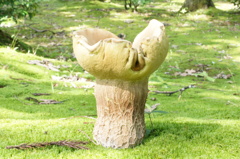 きのこ
