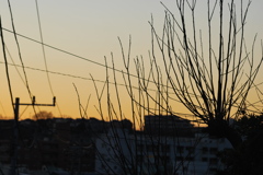 DSC_0275