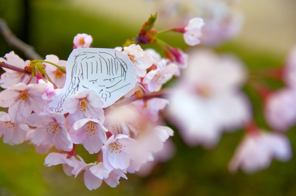 花ちゃん