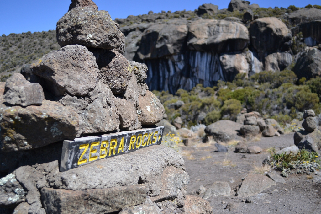 ZEBRA ROCK