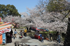 花見