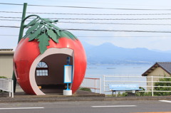 Bus stop 