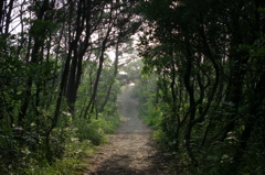 L1000524