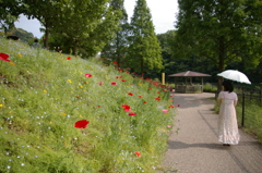 咲く花と傘