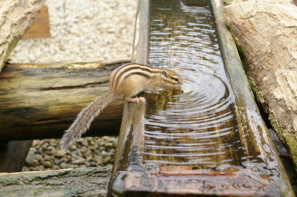 ごくごくごくごくごくごく・・・・・