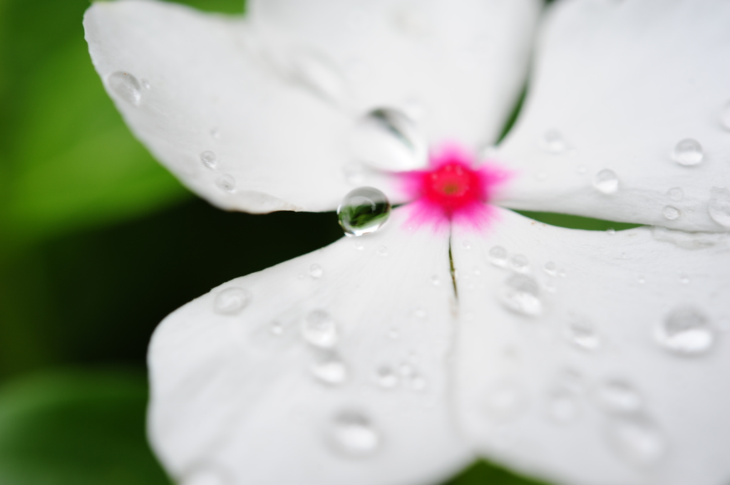 梅雨