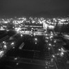 濡れて更に輝きを増す