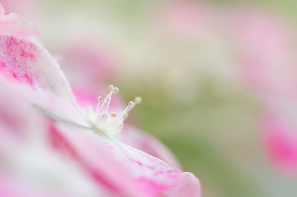 雨待ち