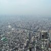 東京の街並み