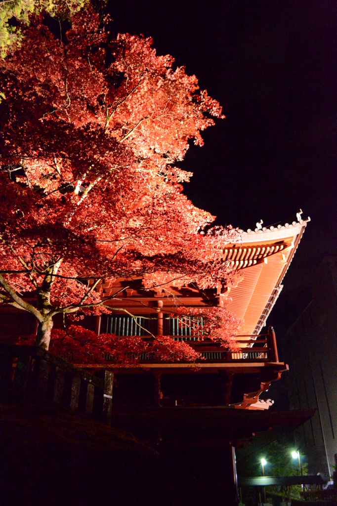 日光ライトアップ（輪王寺）