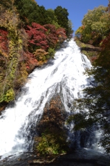 湯滝の秋