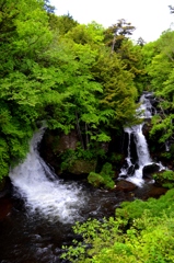 自然の恵み　竜頭の滝３
