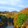 養老渓谷の紅葉