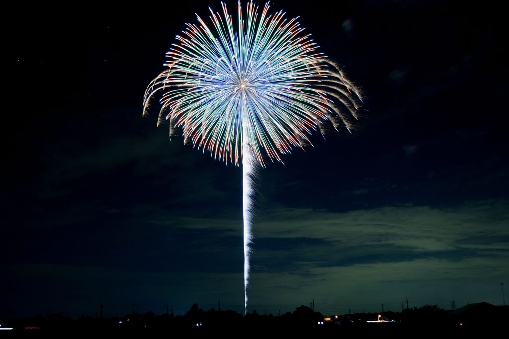 夏夜の花