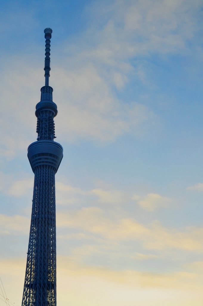 Morning Sky Tree 2