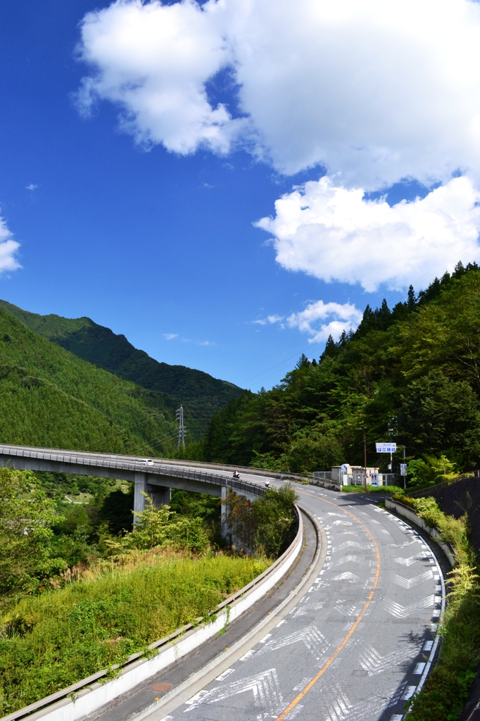 道と森林と青空と