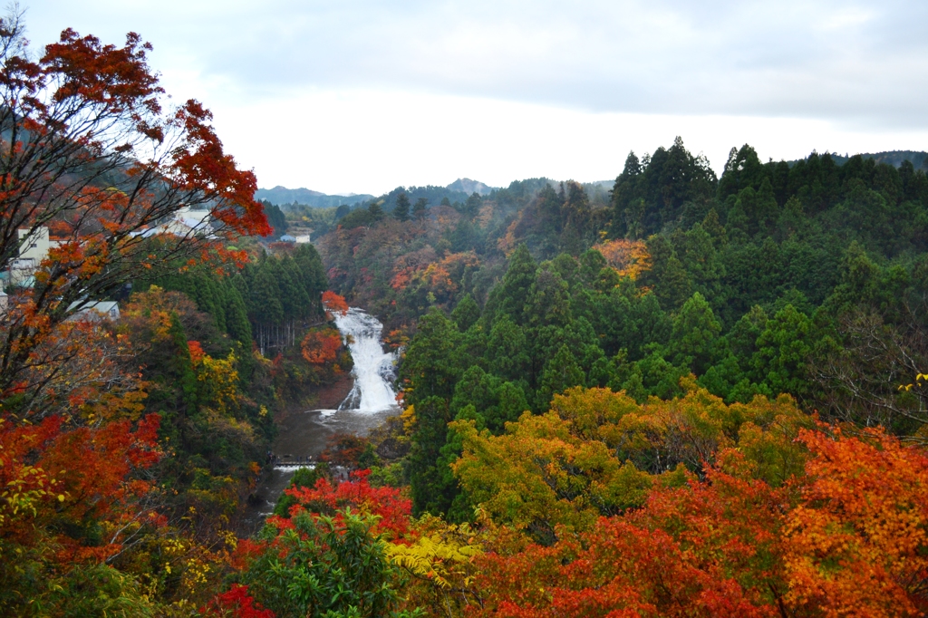 養老渓谷の秋風景１
