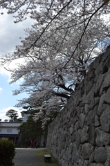 霞ヶ城公園