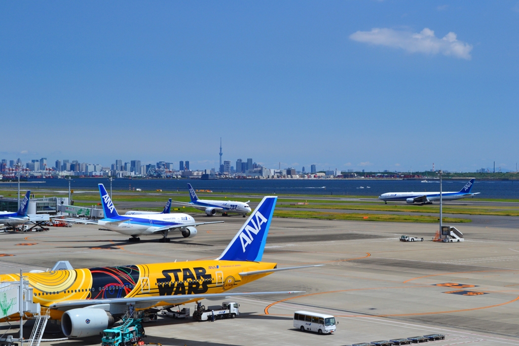 Tokyo Airport Terminal ~スカイツリーとANA~