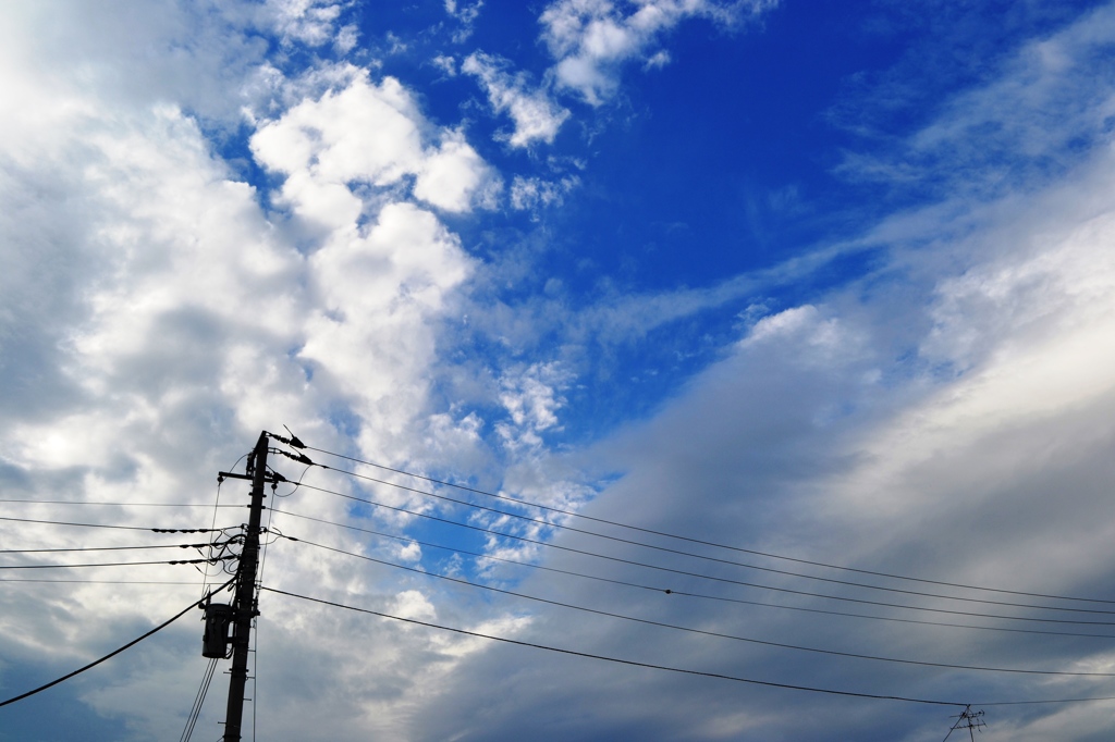 夏空から秋模様へ