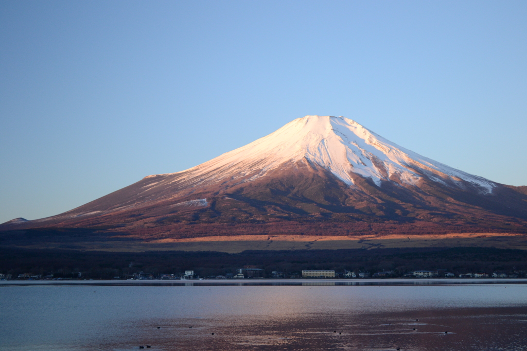 Mt.Fuji